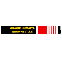 Bjj Jiujitsu Sticker by ghbrownsville