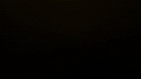 BRINXTV giphyupload tv giphystrobetesting win GIF