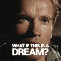 ekoparty  GIF