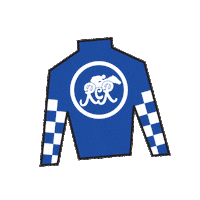 Horse Racing Sticker by Kentucky Derby