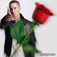 Rose Love GIF