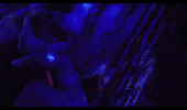 Luclover grill grillz luclover GIF