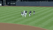 New York Yankees Running GIF by Jomboy Media