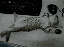 working from home sleeping GIF