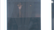 bbuk big brother reality tv cbb celebrity big brother GIF