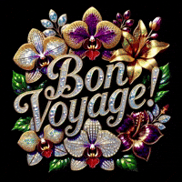 Bon Voyage Bling GIF by TresorsDuMonde.ca