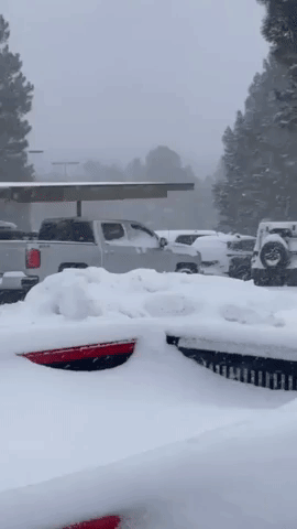 Snow Buries Flagstaff, Arizona