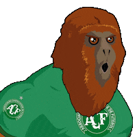 grupobugio chapecoense grupobugio bugio Sticker