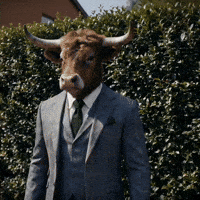 Cowley GIF by Levels Protein