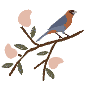 LezaLezLunelli lezalez lez a lez vida leve sertão lezalez Sticker