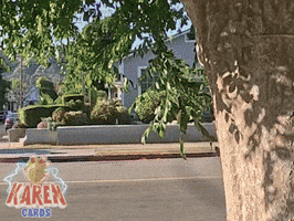 karencardstcg side eye karen peekaboo watching you GIF