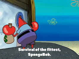 season 3 krabby land GIF by SpongeBob SquarePants