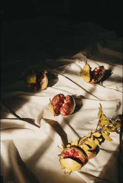 Origo_S skincare natural origo GIF