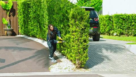 Gdz GIF by Gente De Zona