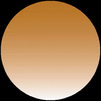 Brand Carpfishing GIF by Any  Water