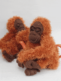 Charles Darwin Orange GIF by TeaCosyFolk