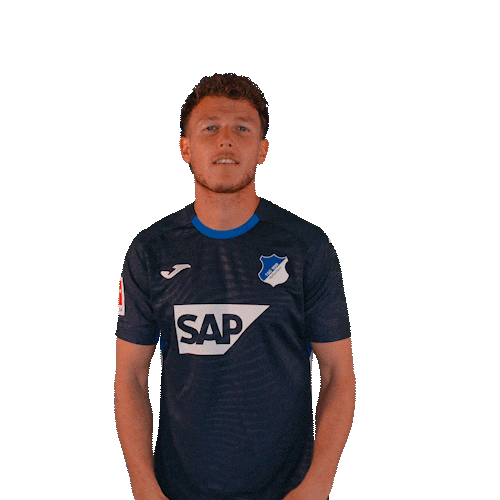 Dennis Geiger Sport Sticker by TSG Hoffenheim