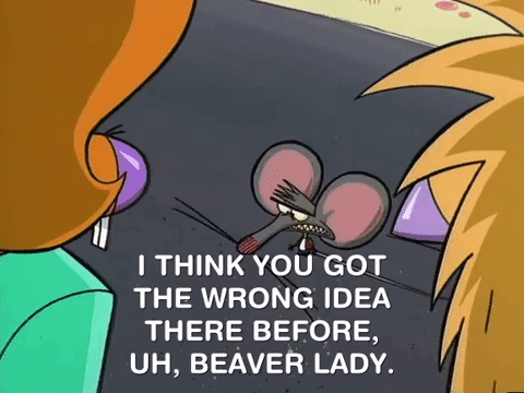 nickrewind giphydvr nicksplat angry beavers giphyab017 GIF