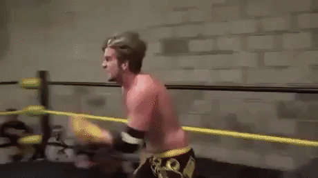 fake wrestling GIF