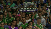 liga endesa basketball GIF by ACB
