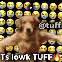 Ts Lowk Tuff GIF