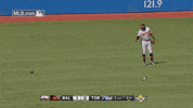 bal GIF by MLB