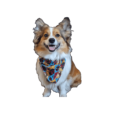 Deadpool Corgi Sticker by Geekster Pets