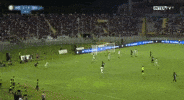 lautaro GIF by nss sports