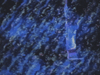 loiis en la villa bootleg