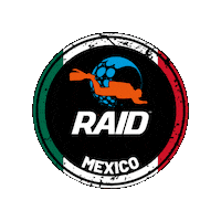 Raid Sticker by DiveRAID