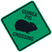 Sweet Cheeks Class Pet Sticker by ABC Network