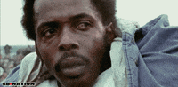 GIF by SB Nation