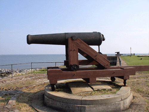 cannon fail GIF by irgum