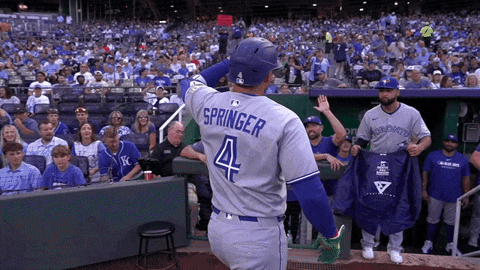 Blue Jays Baseball GIF by Toronto Blue Jays