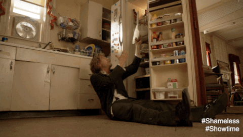 Drunk William H Macy GIF by Showtime