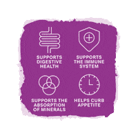 Immune System Health Sticker by vibi+