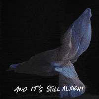 Pink Dancing GIF by Nathaniel Rateliff