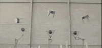 Alternative Music Band GIF by The Temper Trap