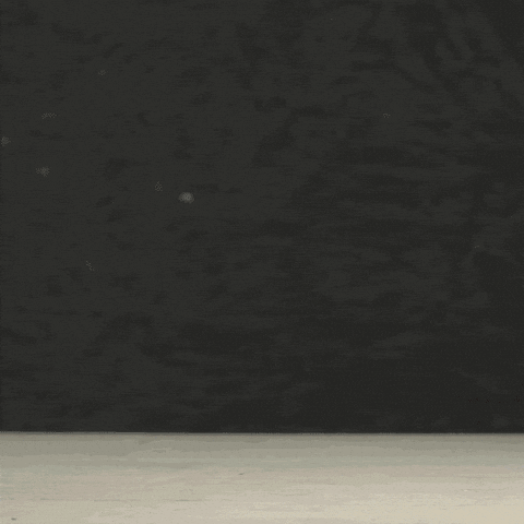 brooks brothers toast GIF