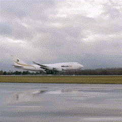 lotniskochopinawarszawa giphyupload fly airplane airport GIF