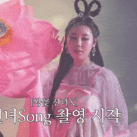 송가인 GIF