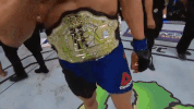 ufc 213 GIF