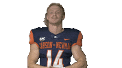 Football Sport Sticker by Carson-Newman Athletics