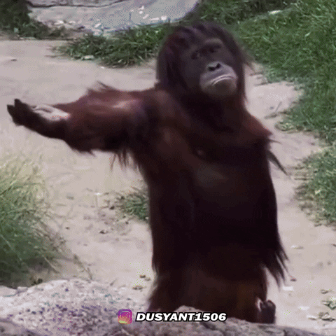 Sad Monkey GIF