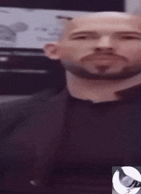 Carrier Pigeon Tate GIF