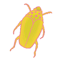 Summer Spring Sticker