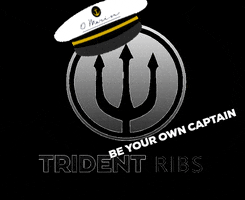 tridentboats tridentribs tridentlefkada tridemtboats tridentcaptain GIF