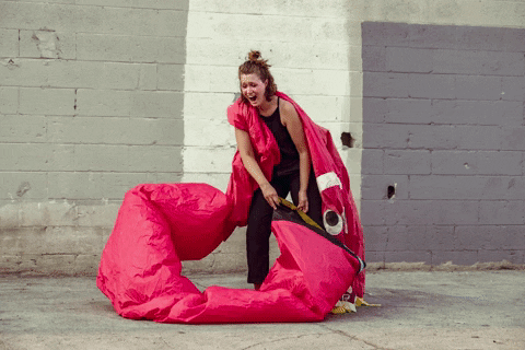 haliebahr giphyupload GIF