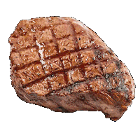 Old Port Montreal Sticker by ExpOldMtl