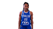 Olbis Sticker by Italbasket